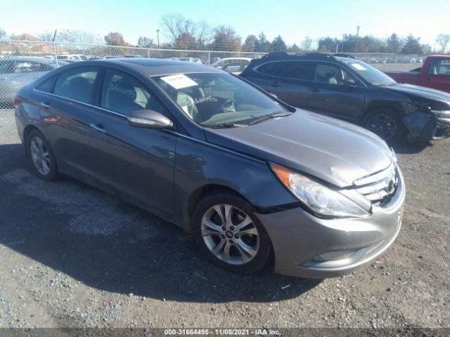 HYUNDAI SONATA 2013 5npec4acxdh542521