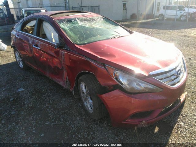 HYUNDAI SONATA 2013 5npec4acxdh559321