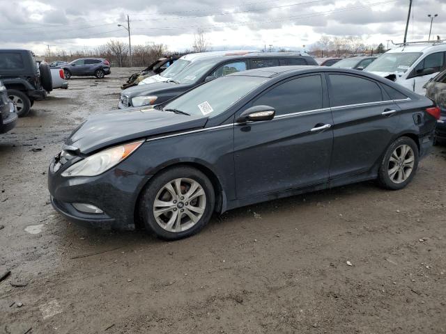 HYUNDAI SONATA 2013 5npec4acxdh560064