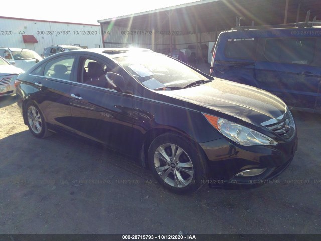 HYUNDAI SONATA 2013 5npec4acxdh585434