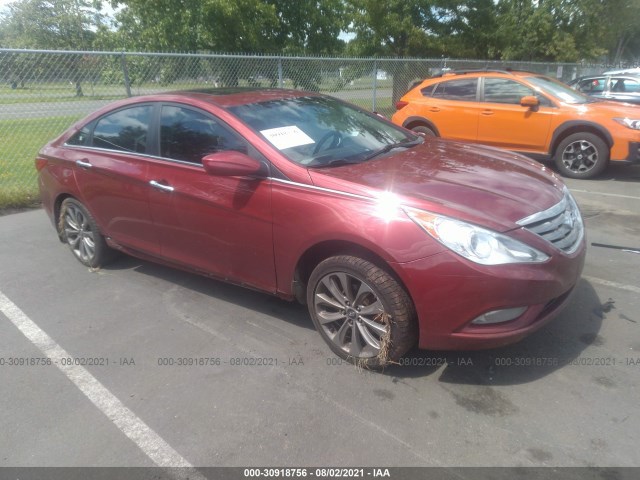 HYUNDAI SONATA 2013 5npec4acxdh656969