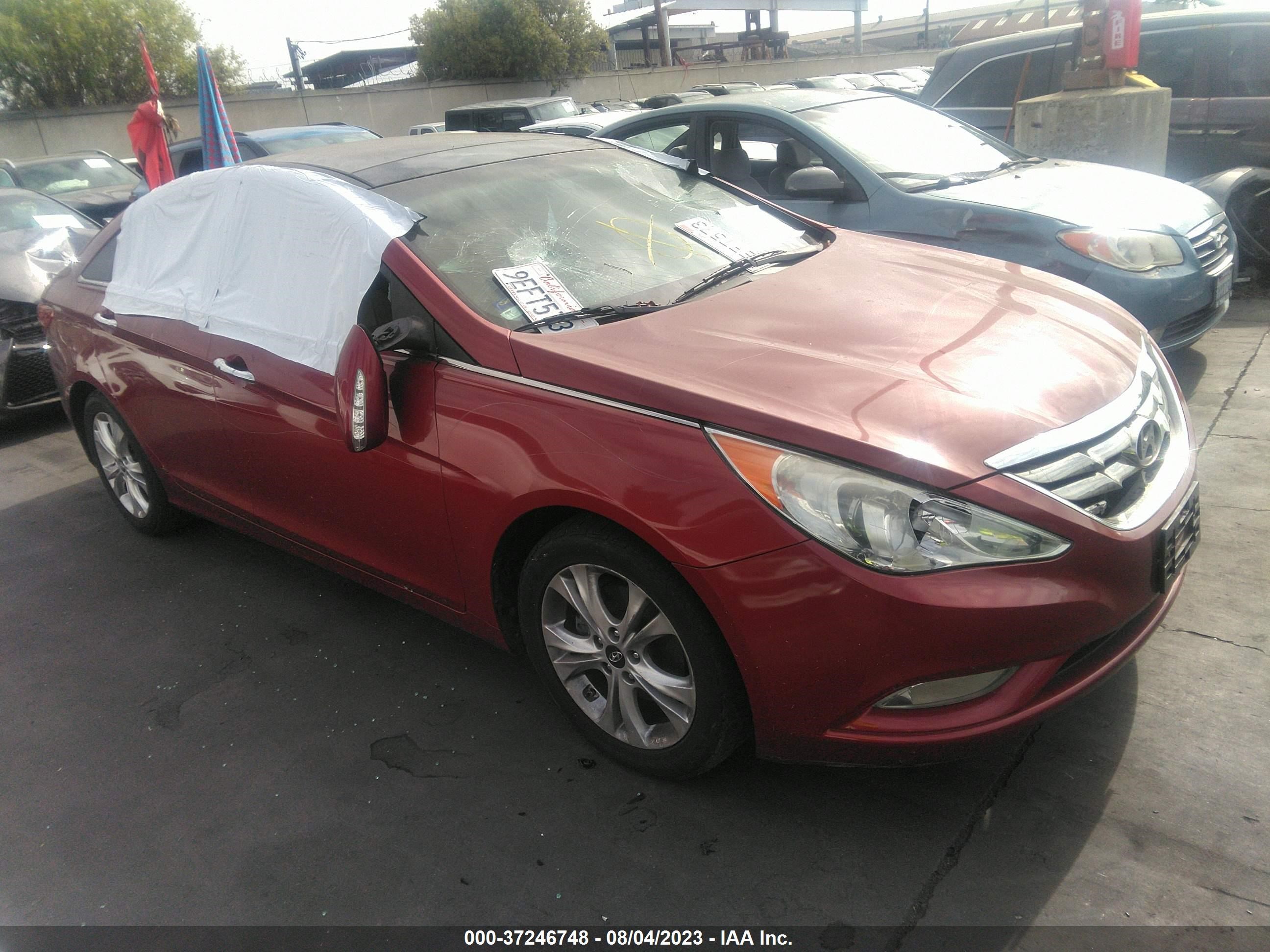 HYUNDAI SONATA 2013 5npec4acxdh673481