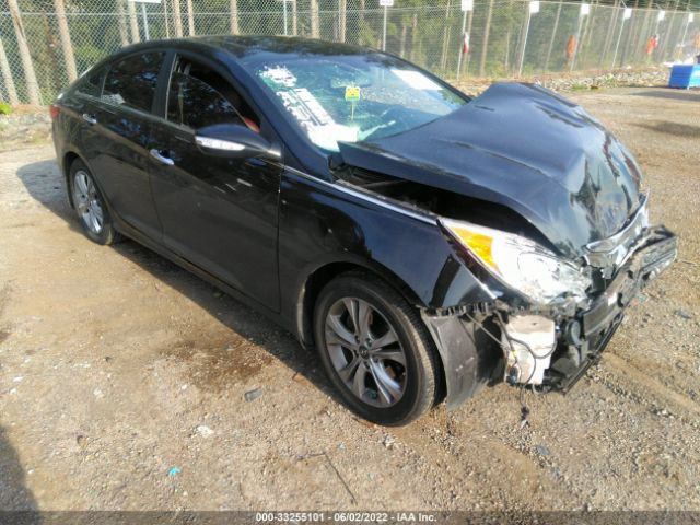 HYUNDAI SONATA 2013 5npec4acxdh691317