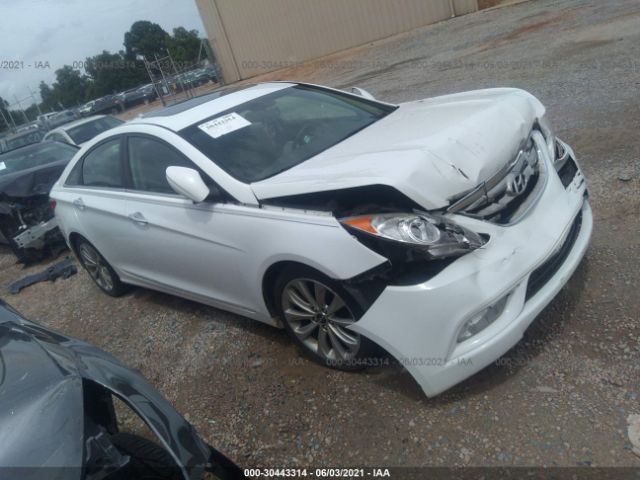 HYUNDAI SONATA 2013 5npec4acxdh702820