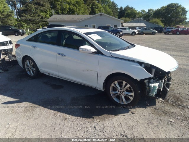 HYUNDAI SONATA 2013 5npec4acxdh715468