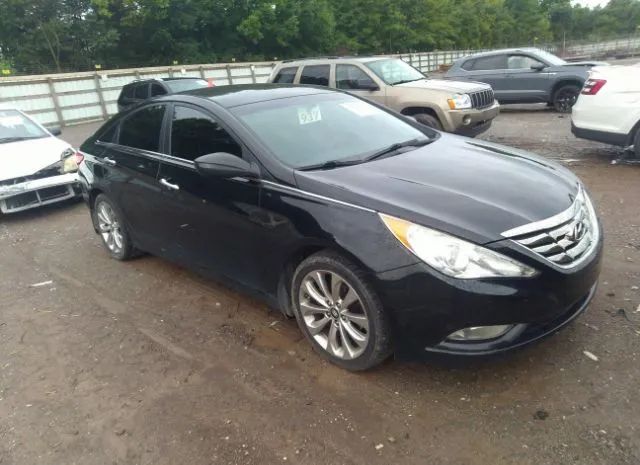 HYUNDAI SONATA 2013 5npec4acxdh764119