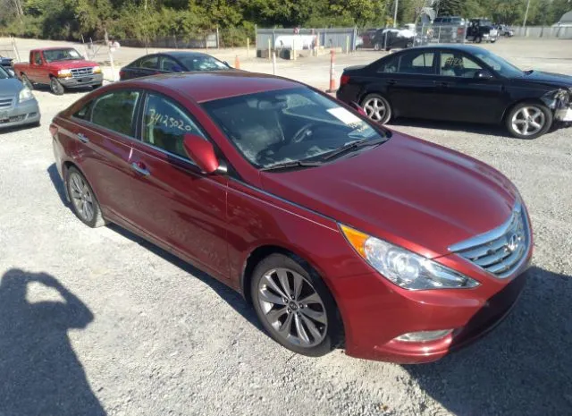 HYUNDAI SONATA 2013 5npec4acxdh784807