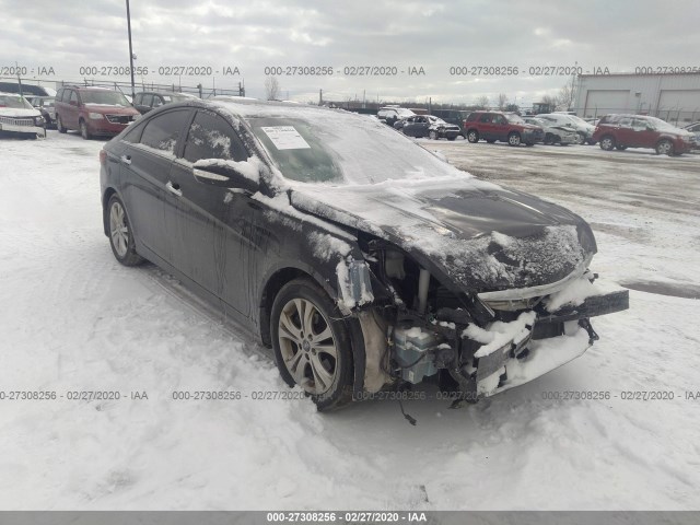 HYUNDAI SONATA 2013 5npec4acxdh806076