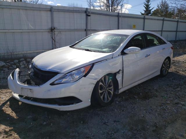 HYUNDAI SONATA SE 2014 5npec4acxeh904977