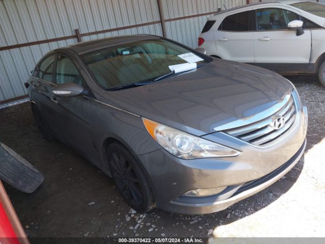 HYUNDAI SONATA 2014 5npec4acxeh914389