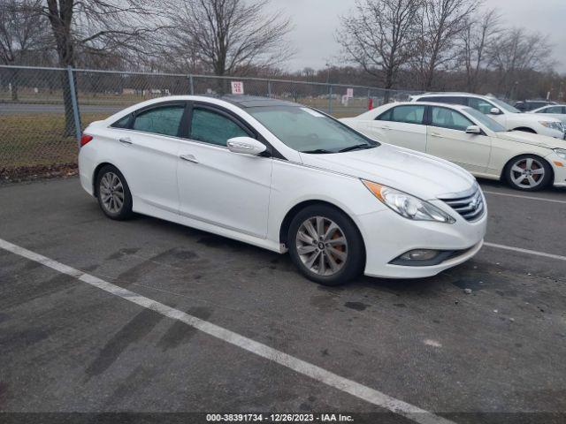 HYUNDAI SONATA 2014 5npec4acxeh937199