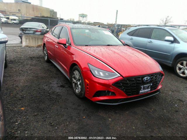 HYUNDAI SONATA 2020 5npef4ja4lh053567