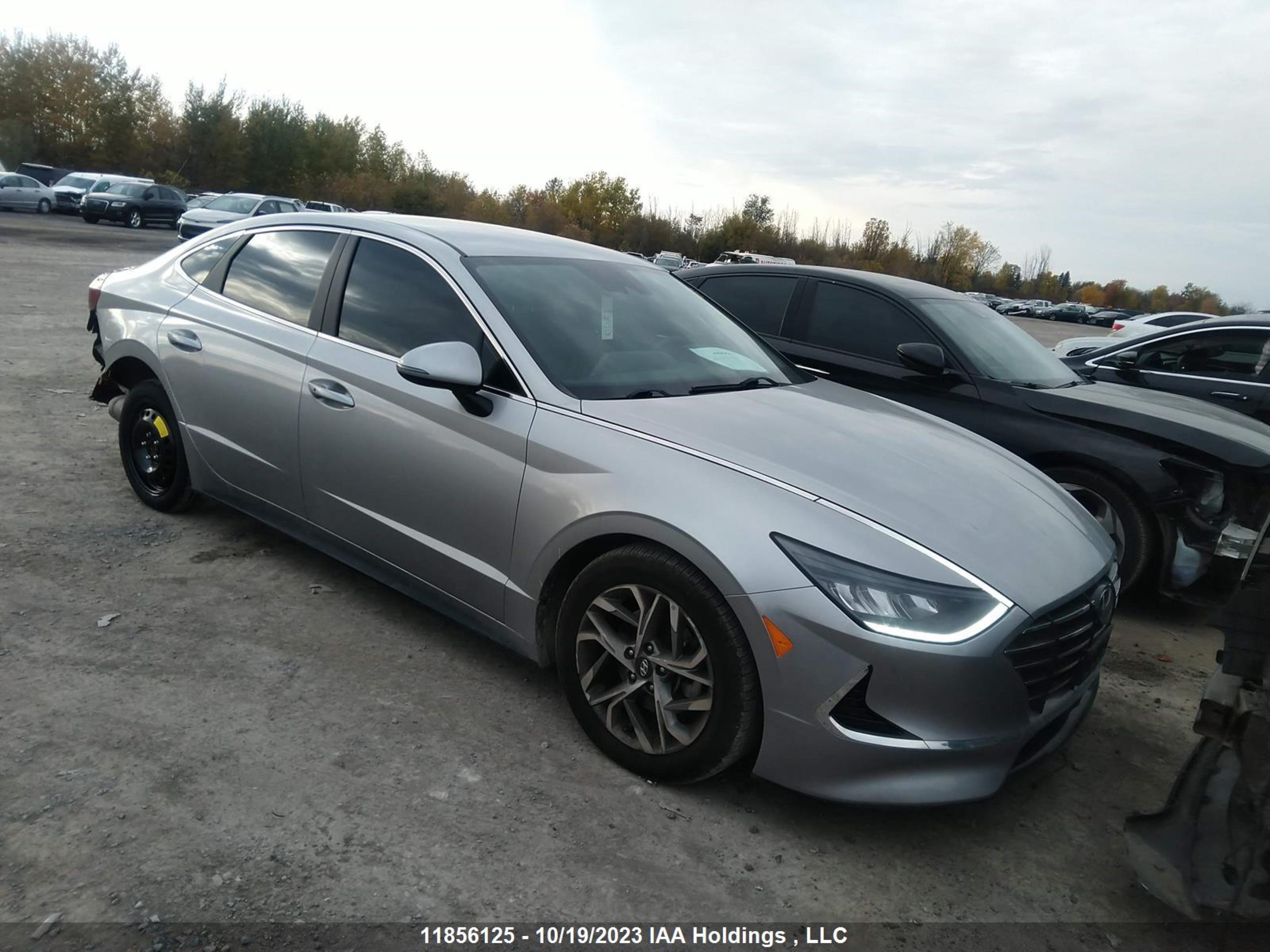 HYUNDAI SONATA 2021 5npeg4ja8mh084383