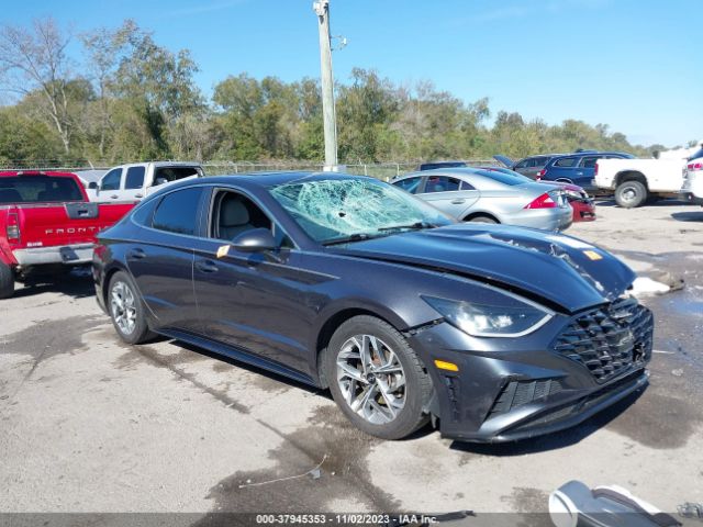 HYUNDAI SONATA 2020 5npel4ja1lh029588