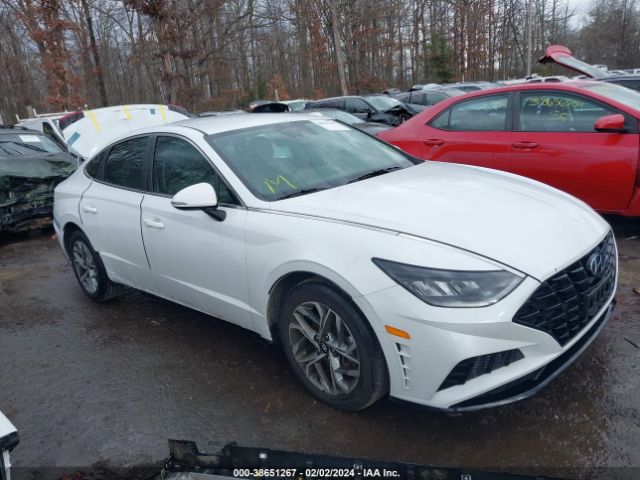 HYUNDAI SONATA 2020 5npel4ja7lh002041