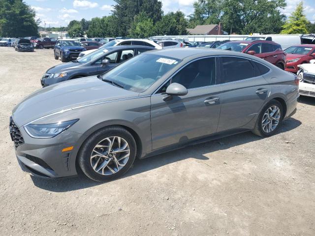 HYUNDAI SONATA SEL 2020 5npel4jaxlh014992