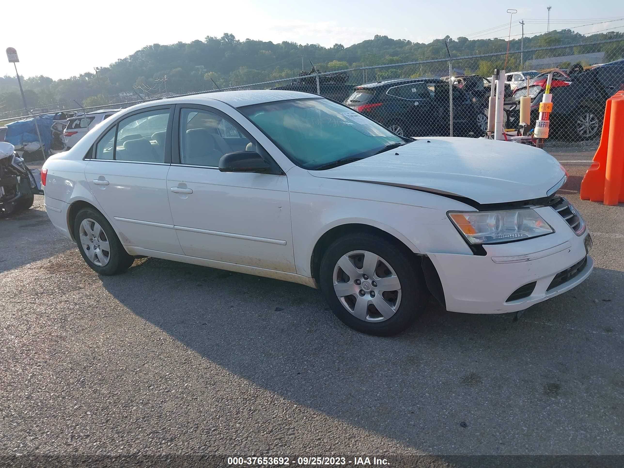 HYUNDAI SONATA 2009 5npet46c89h561973