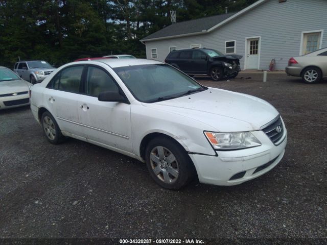 HYUNDAI SONATA 2010 5npet4ac4ah601428