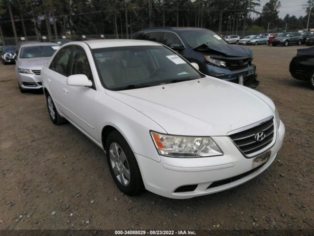 HYUNDAI SONATA 2010 5npet4ac5ah604435