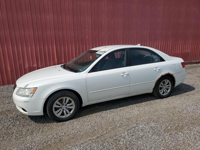 HYUNDAI SONATA 2010 5npet4ac5ah605603