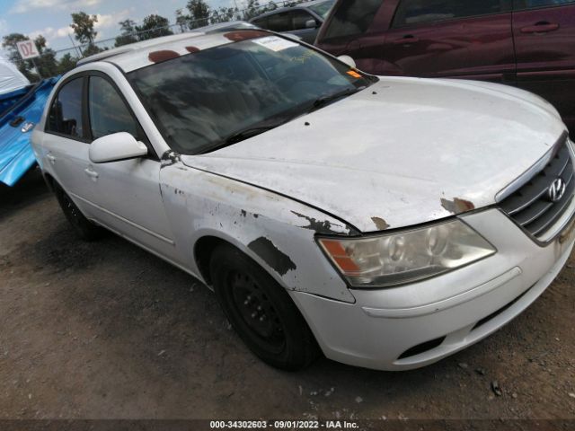 HYUNDAI SONATA 2010 5npet4ac7ah591588