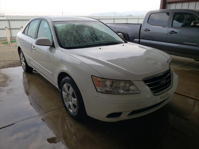 HYUNDAI SONATA GLS 2010 5npet4acxah603894