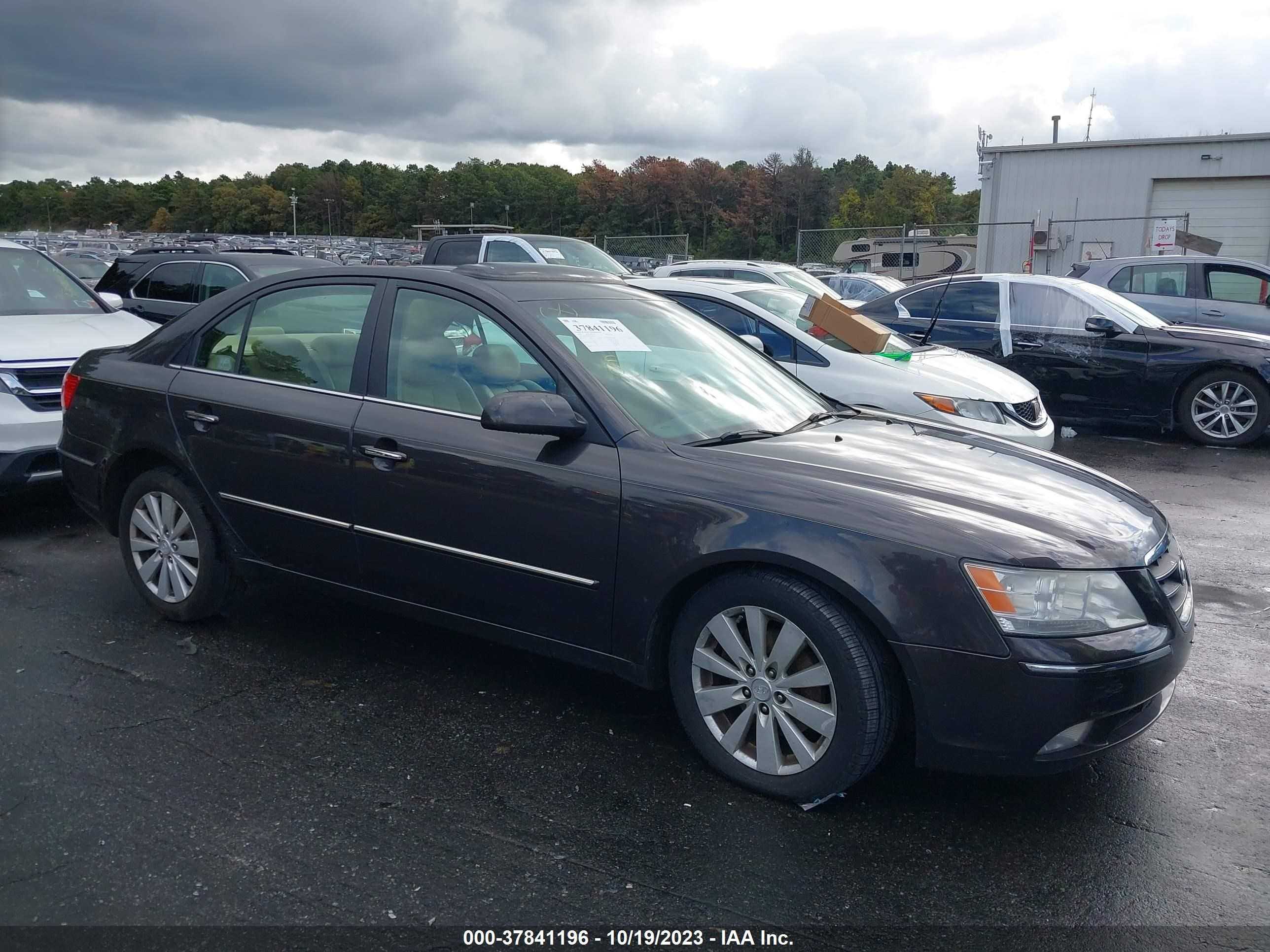 HYUNDAI SONATA 2009 5npeu46f19h482913