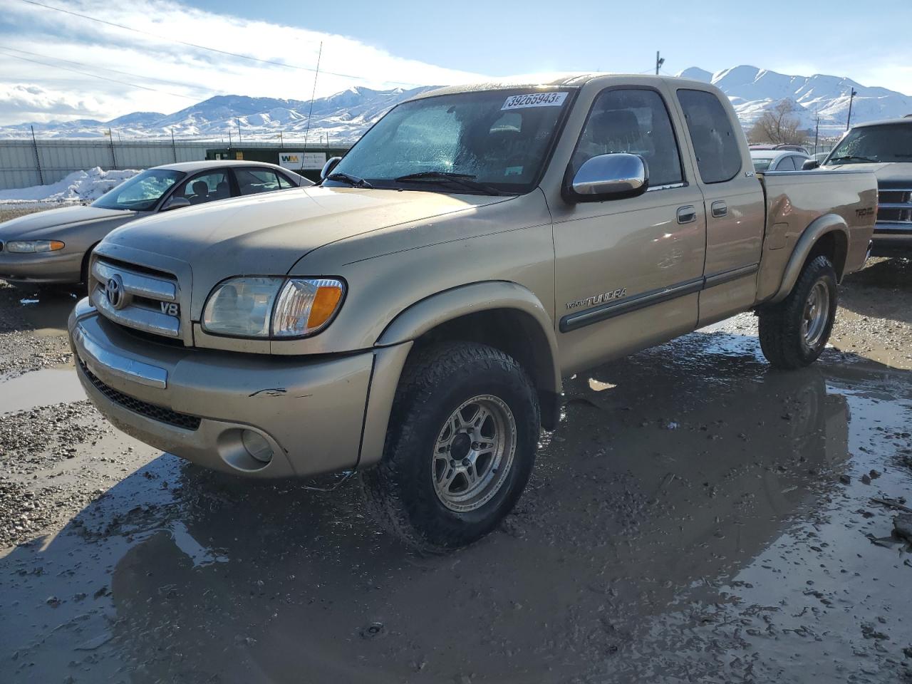 TOYOTA TUNDRA 2003 5tbbt44103s392630