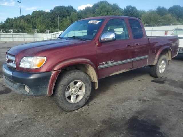 TOYOTA TUNDRA ACC 2006 5tbbt44126s476615