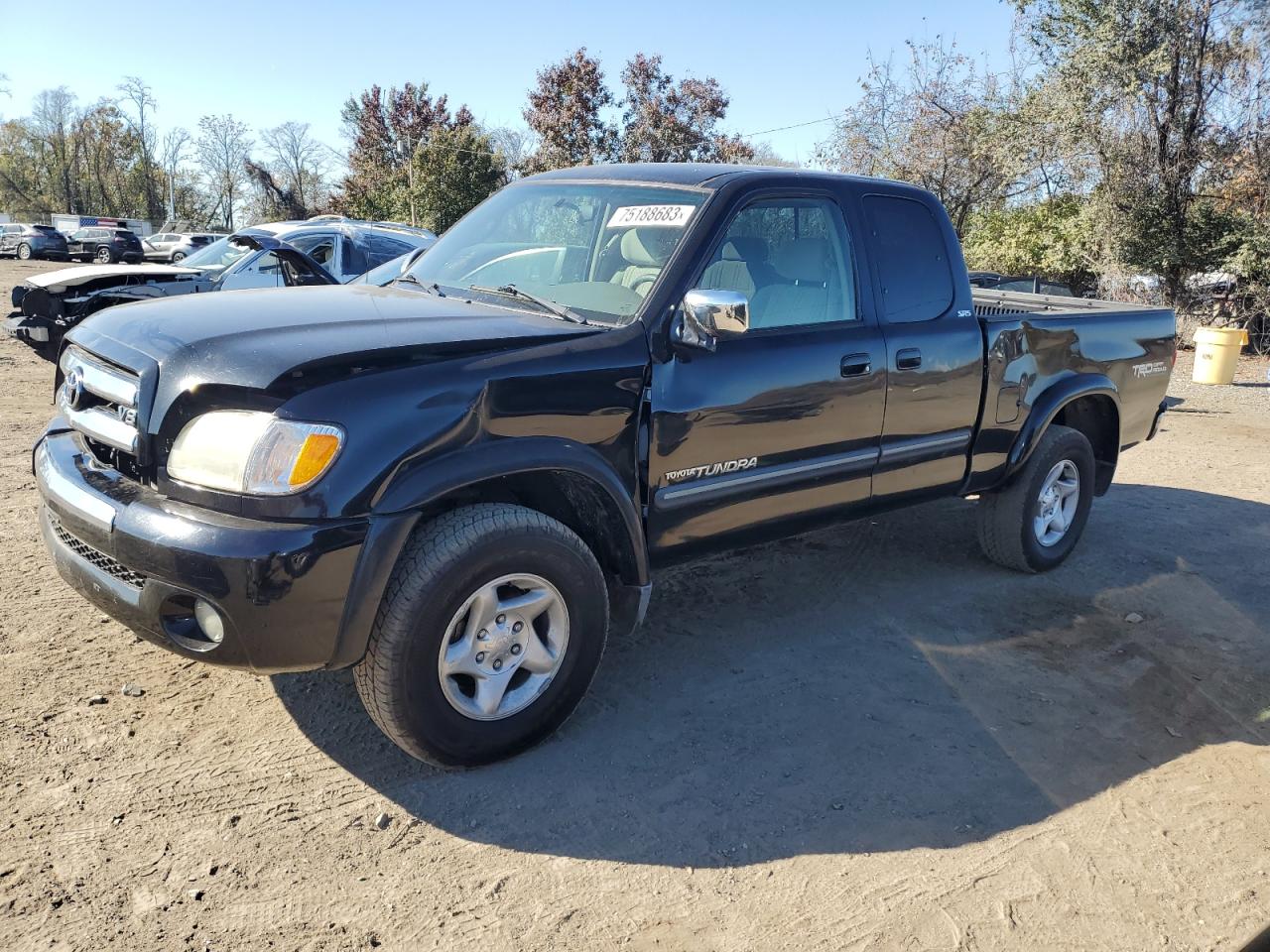 TOYOTA TUNDRA 2003 5tbbt44153s382966