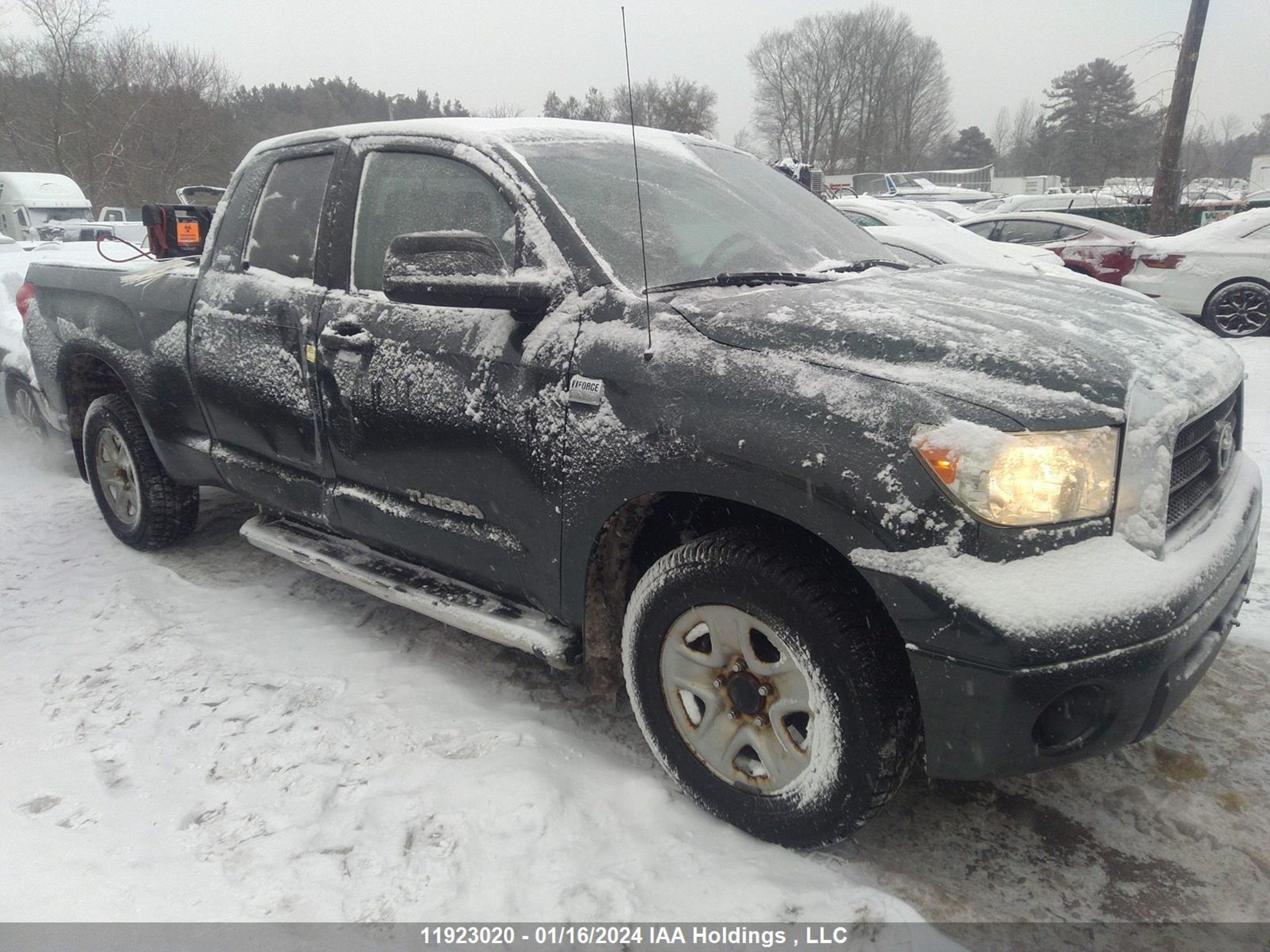 TOYOTA TUNDRA 2007 5tbbt54137s455294