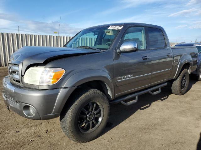 TOYOTA TUNDRA 2005 5tbdt44115s501043