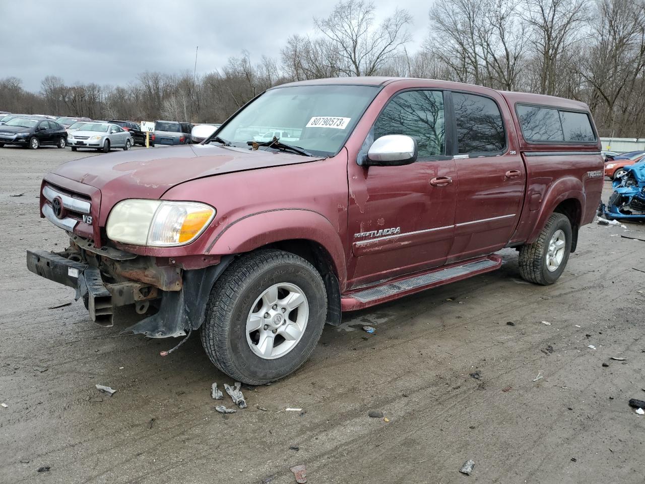 TOYOTA TUNDRA 2005 5tbdt44125s466769