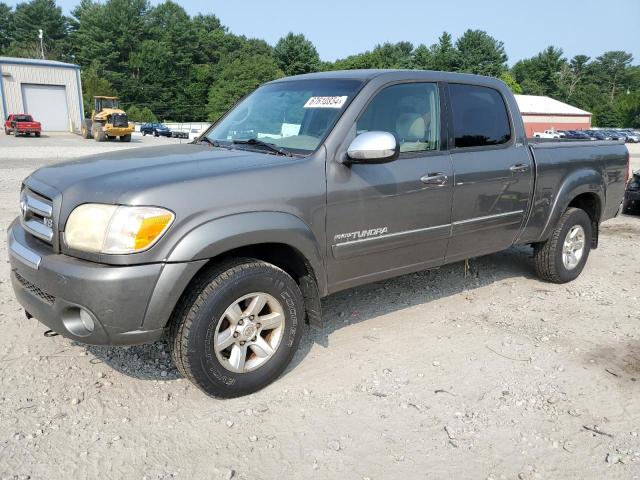 TOYOTA TUNDRA DOU 2006 5tbdt44166s536422