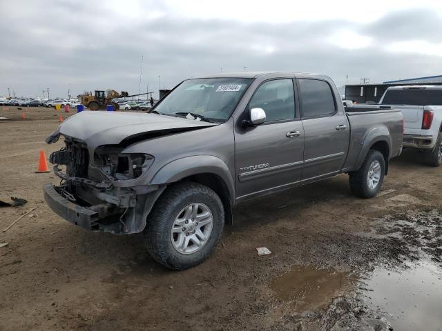 TOYOTA TUNDRA 2006 5tbdt44176s517698