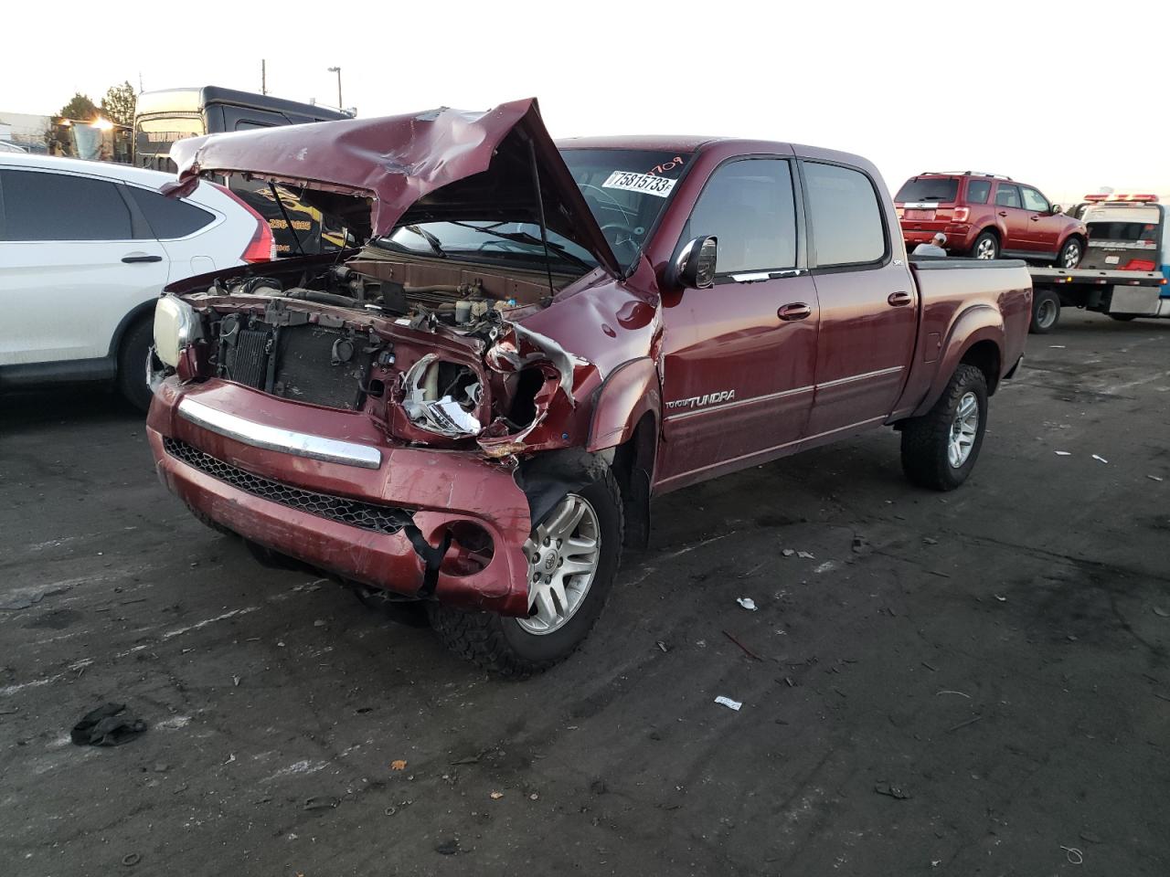 TOYOTA TUNDRA 2005 5tbdt44185s486122