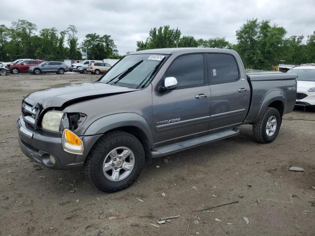 TOYOTA TUNDRA 2006 5tbdt44186s536390