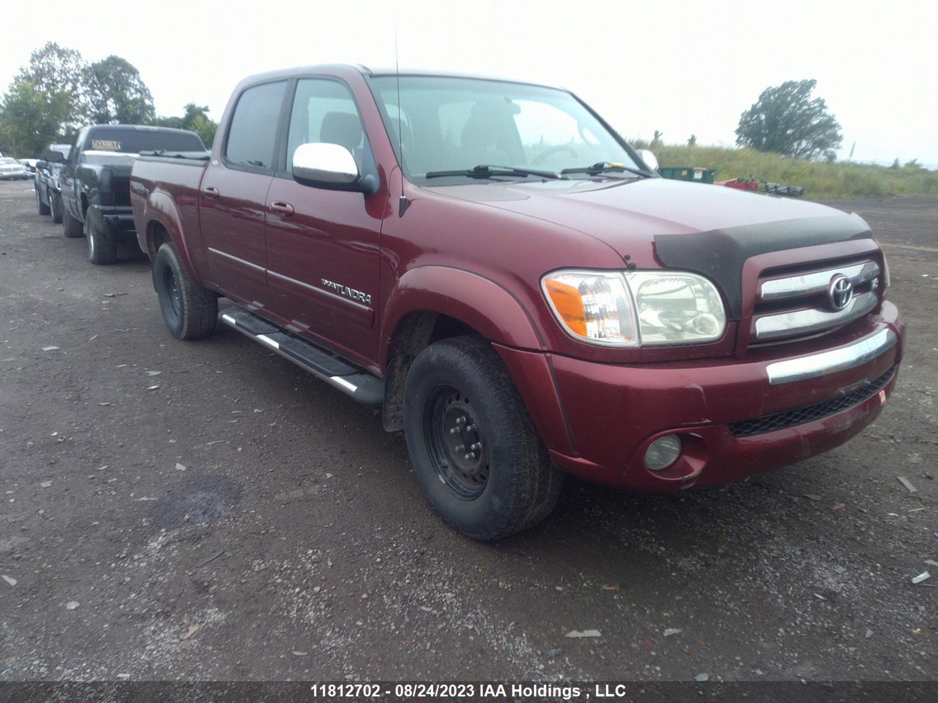 TOYOTA TUNDRA 2006 5tbdt44196s506573