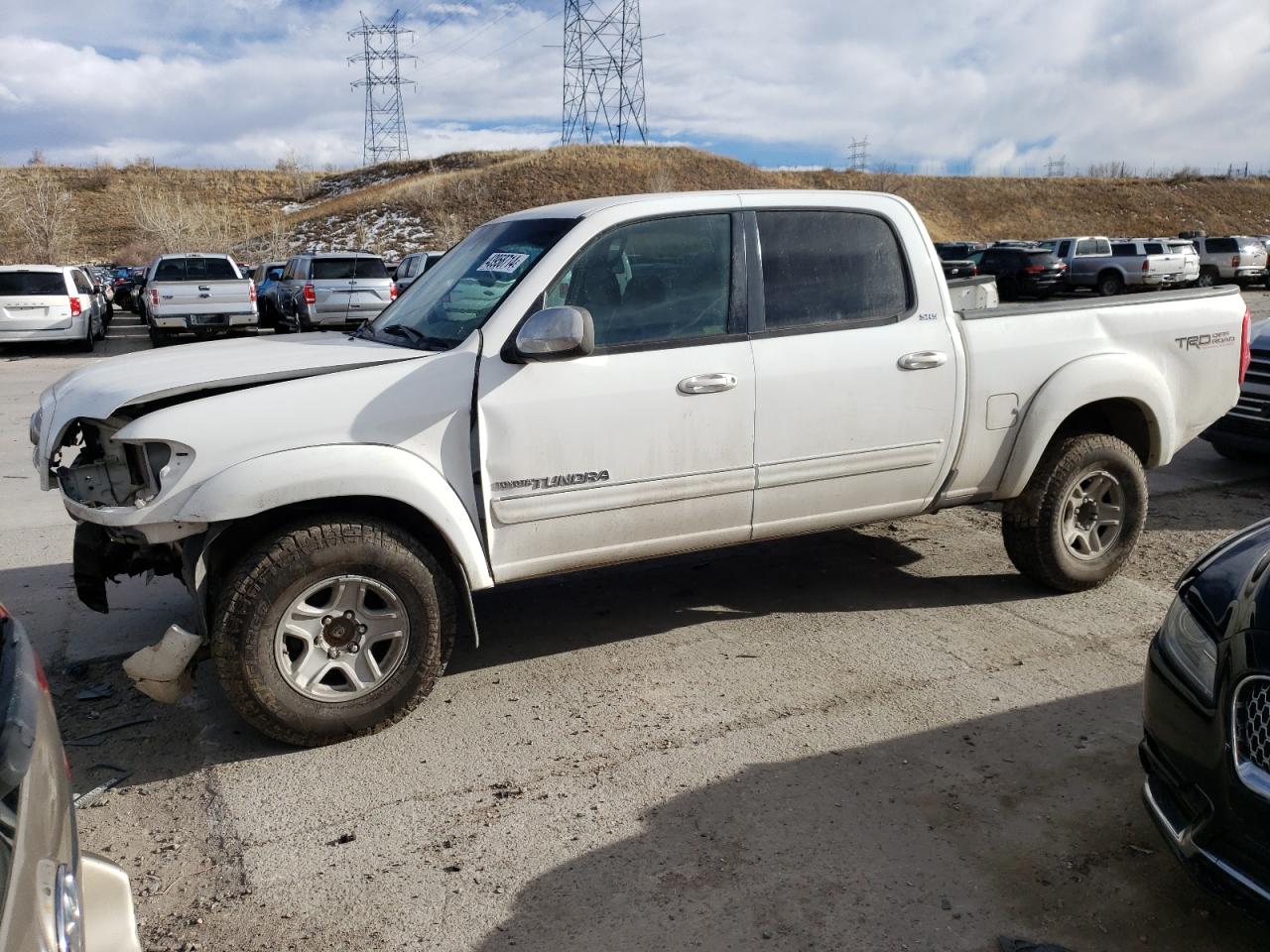 TOYOTA TUNDRA 2006 5tbdt44196s524703