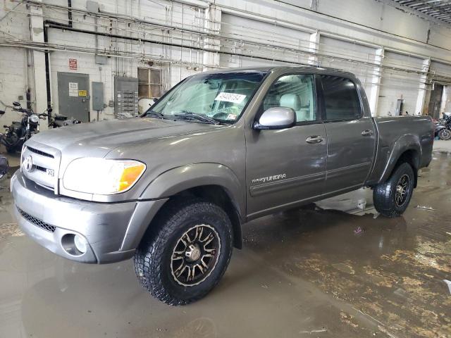 TOYOTA TUNDRA 2005 5tbdt48125s466846