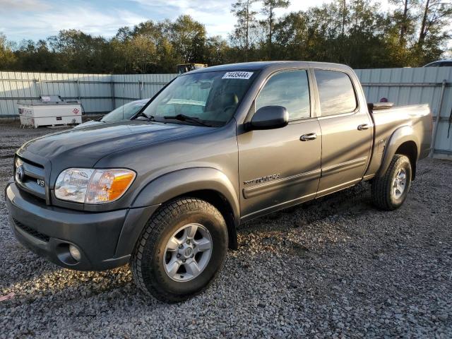 TOYOTA TUNDRA DOU 2006 5tbdt48146s508872