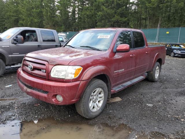 TOYOTA TUNDRA 2006 5tbdt48146s521766