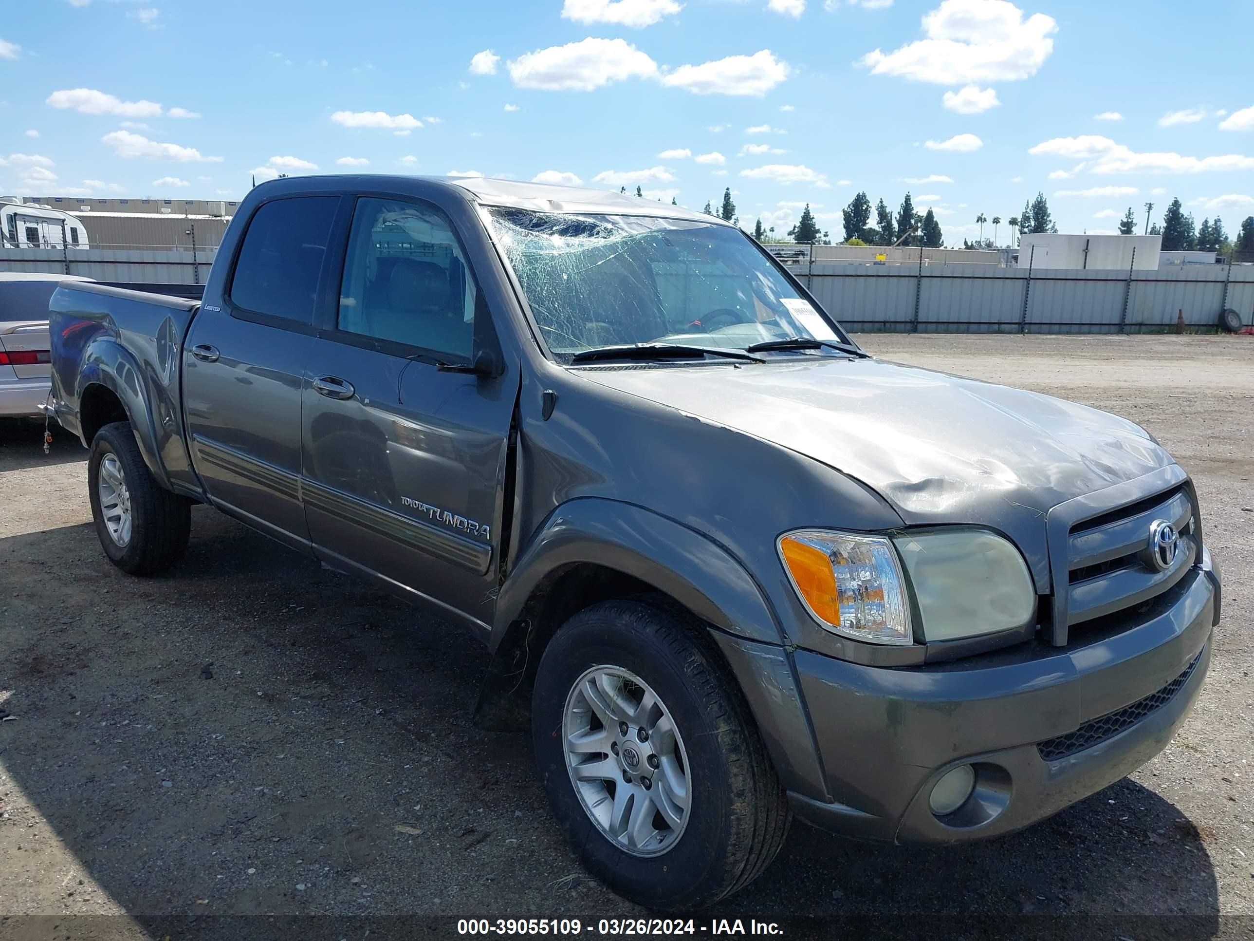 TOYOTA TUNDRA 2006 5tbdt481x6s520881