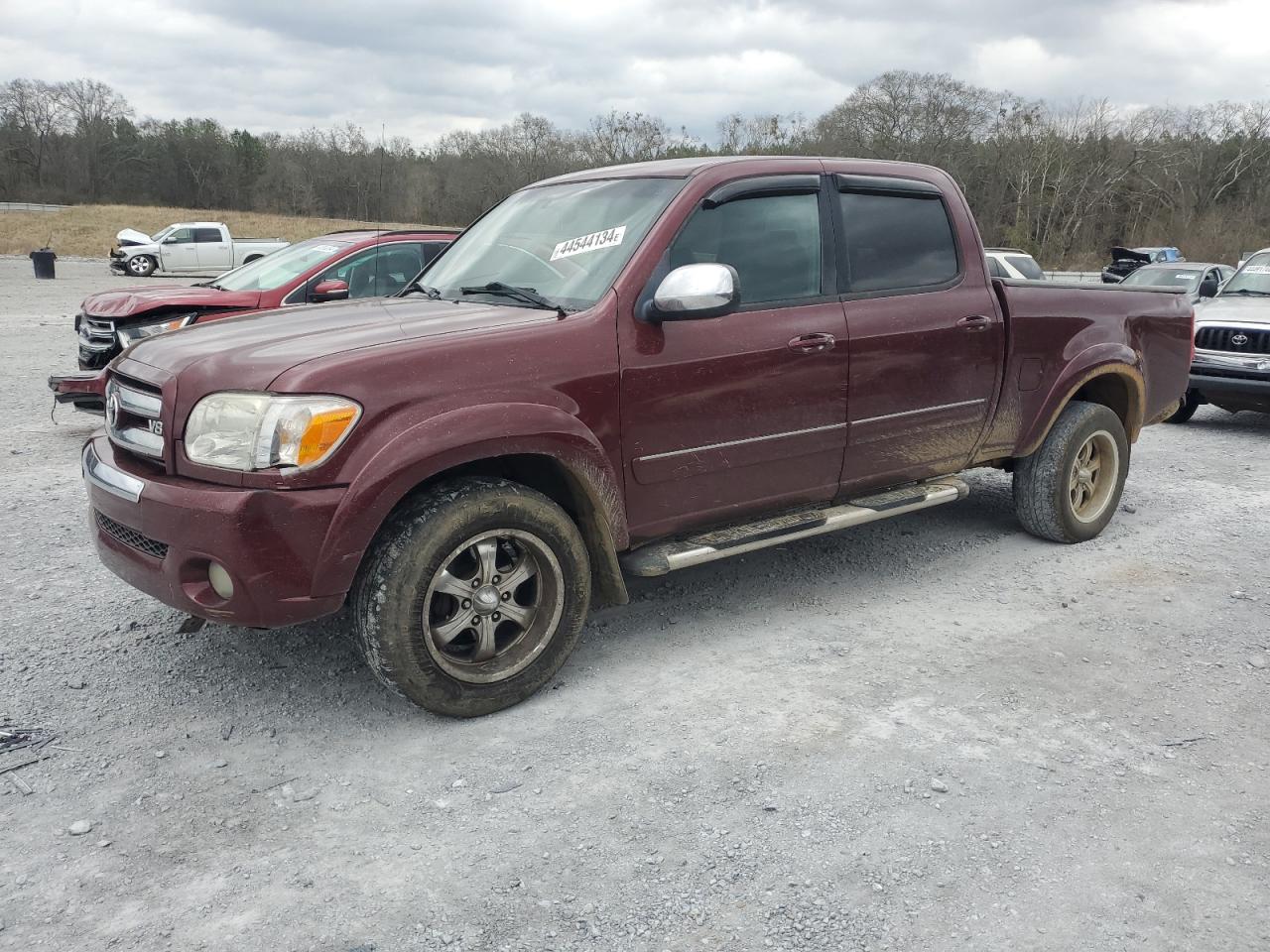 TOYOTA TUNDRA 2005 5tbet34115s490771