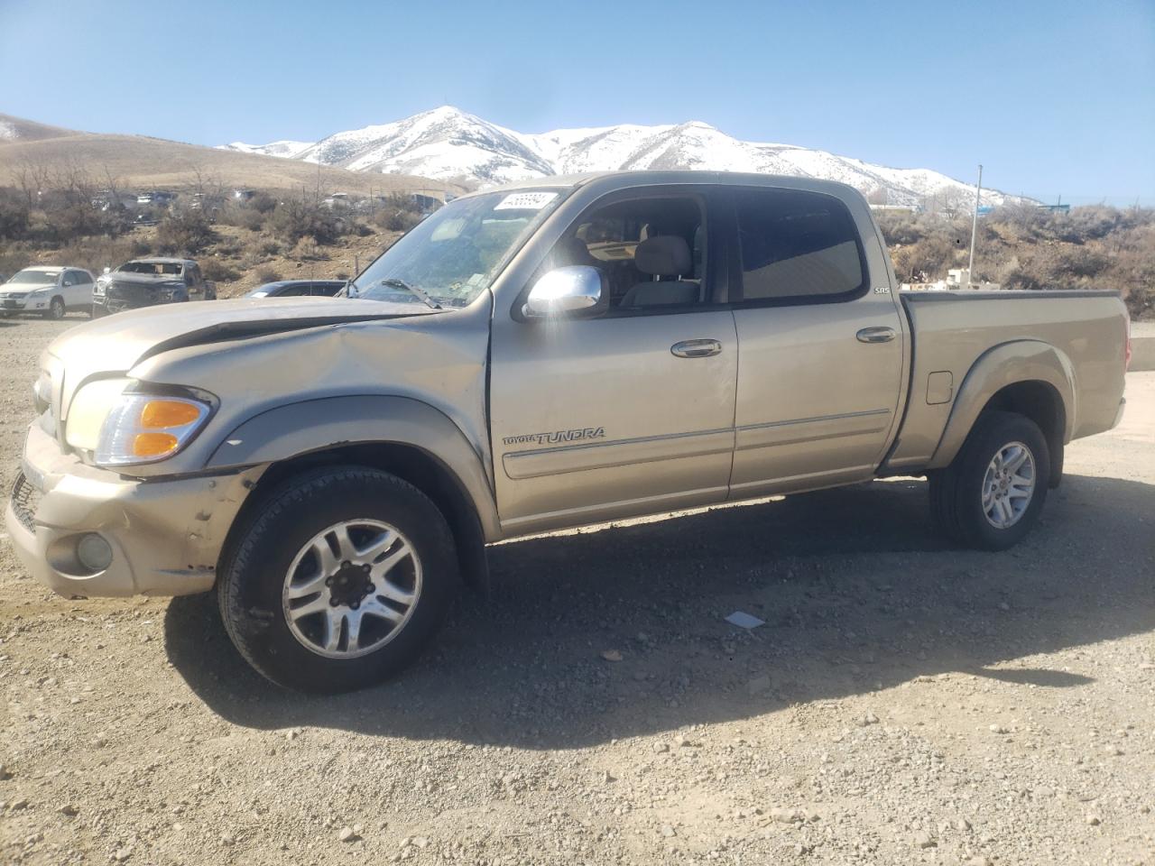 TOYOTA TUNDRA 2004 5tbet34124s446504