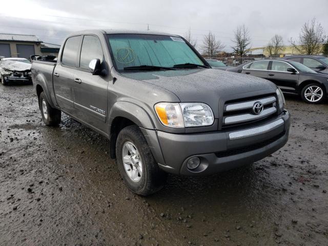 TOYOTA TUNDRA DOU 2005 5tbet34135s478699