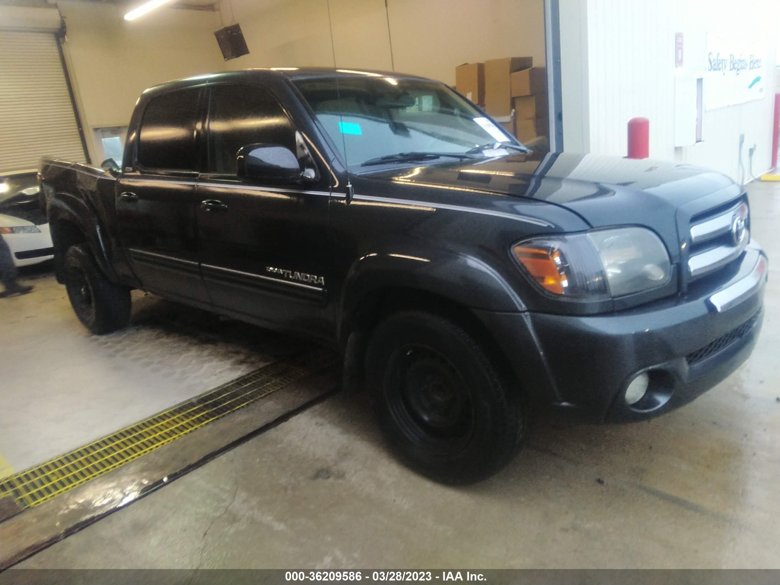 TOYOTA TUNDRA 2005 5tbet34135s482476