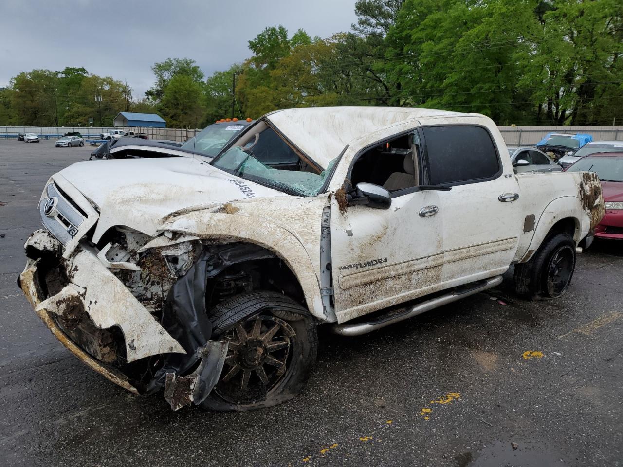 TOYOTA TUNDRA 2006 5tbet34136s504400