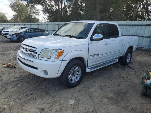 TOYOTA TUNDRA DOU 2006 5tbet34146s518516