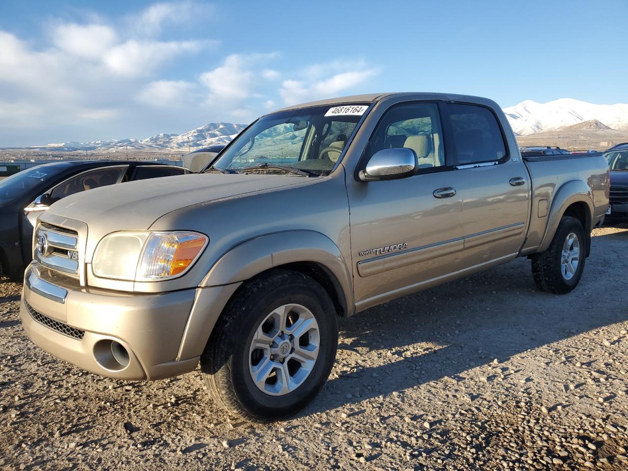 TOYOTA TUNDRA 2006 5tbet34156s523272